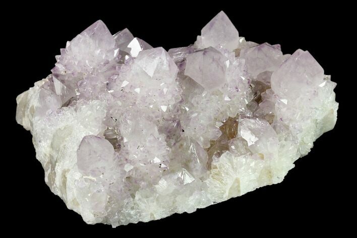 Cactus Quartz (Amethyst) Crystal Cluster - South Africa #132527